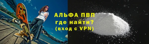 СК Алексин