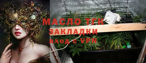 СК Алексин