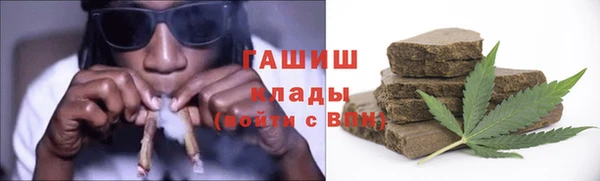 СК Алексин