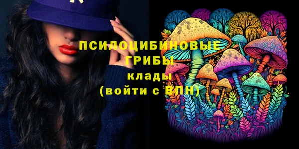 СК Алексин