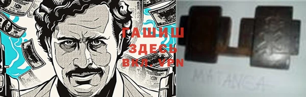 СК Алексин