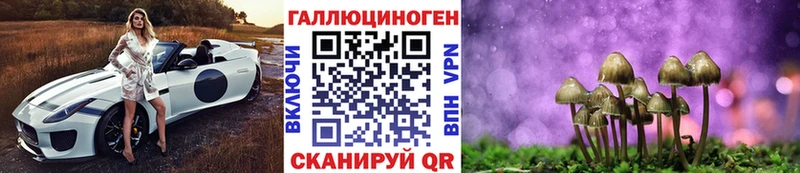 Псилоцибиновые грибы мицелий где можно купить наркотик Льгов